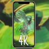 牛牛免费短剧